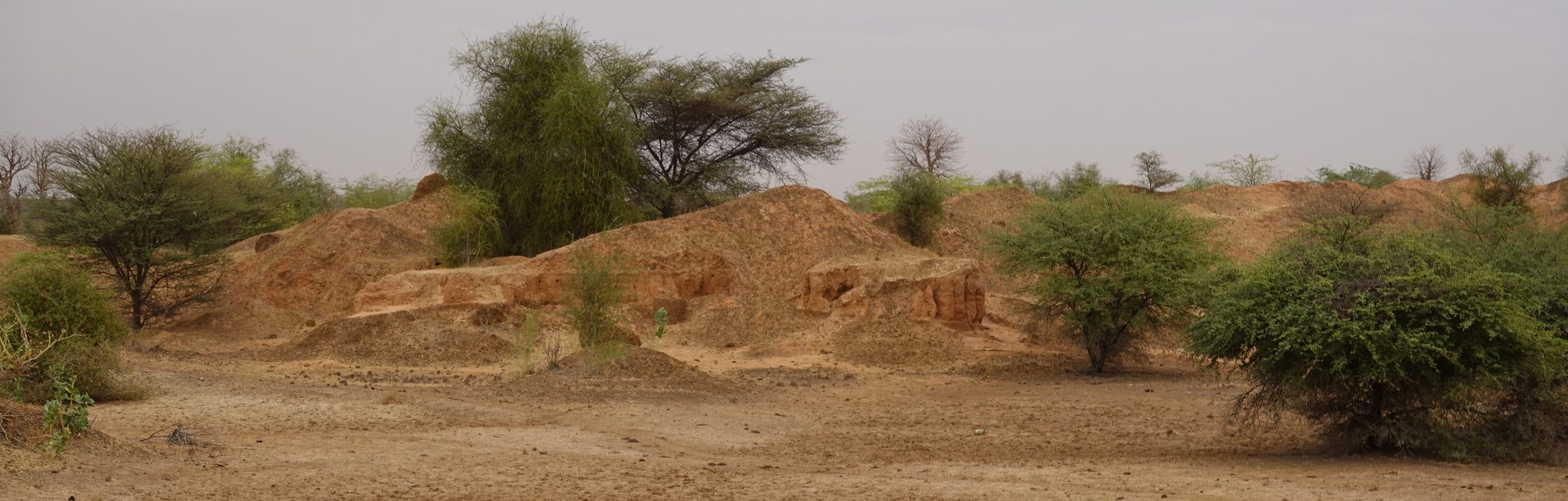Stone Age of West Africa
